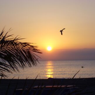 Confiance et Estime de soi, Identité professionnelle et Projet de vie