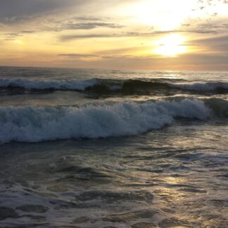 Motivation, Valeurs et Engagement en coaching individuel